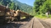 Lemnul exploatat din pădurile Romsilva nu poate fi coborât din munți în orașul Vișeu de Sus decât cu Mocănița, un vechi tren cu abur. 
