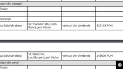 Declarația de avere a deputatului PSD Popică din care rezultă că soția sa controlează firmele Transmir și Salcia