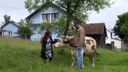 S kruzera na njivu: Filipinka i Bosanac prave samoodrživo gazdinstvo