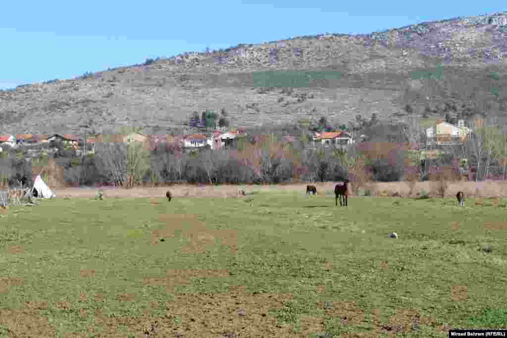 Na ranču "Gaucho", Tihomir Tiho Sušac uzgaja primjerke životinja koje su bile značajne kaubojima za preživljavanje. Nazvao ih je uglavnom meksičkim imenima. Tu su, među ostalim, i kobila Sara, magarac Poncho, koza Conchita, pas El Toro, mačak Gringo. 