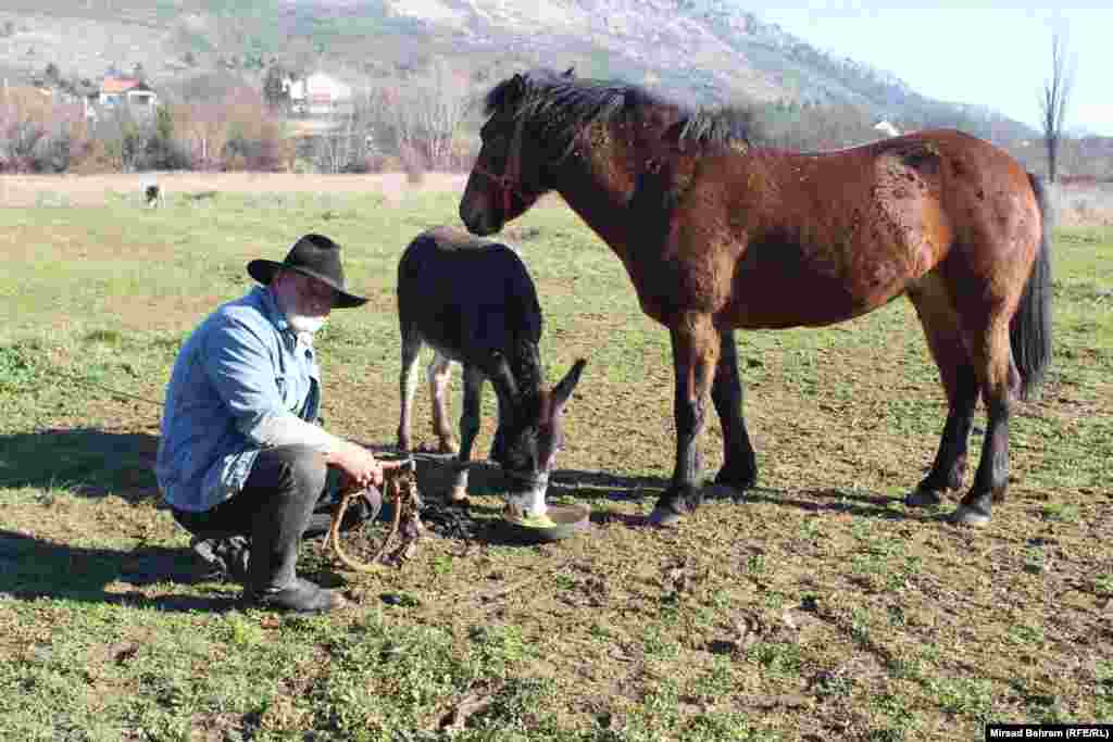 Tiho Sušac sa magarcem Ponchom i kobilom Sarom. "Ja propagiram tu zdrav život. Mogu se djeca educirati, da dođe dijete, da vidi šta je ta koza, šta je to tele, šta je ta krava, šta je taj konj, zašto je to tu, šta će biti s tim, zašto ne uništavati prirodu i tako dalje", smatra Tiho Sušac. 