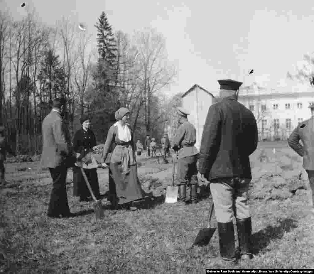 U mesecima nakon revolucije 1917. godine, nadvojvotkinja Tatjana pomaže u okopavanju bašte sa povrćem, tokom zarobljeništva. 
