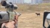 Potrivit estimărilor autorităților care se ocupă de animalele fără stăpân, în București ar exista în prezent circa 8.000 de câini maidanezi. Imagine de la o acțiune a instituției care trebuie să gestioneze câinii fără stăpân.