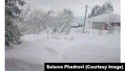გურია, ოზურგეთის მუნიციპალიტეტი, 24 თებერვალი