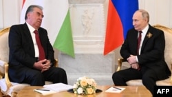 Täjigistanyň prezidenti Emomali Rahmon rus kärdeşi Wladimir Putin bilen. Kreml, 9-njy maý, 2024.
