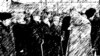 ГIалгIайчохь вийначу стеган гергарчара чIир кхайкхийна полисхочунна