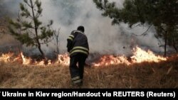 Йдеться про пожежу в Андріївському лісовому урочищі (фото ілюстраційне)