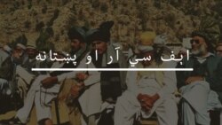په قبايلي سيمو کې پوليټيکل اېجنټ څه واک لري؟
