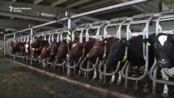Jusuf otvorio, a država bi mogla zatvoriti mljekaru u Kozarcu