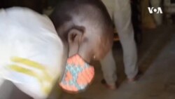 د کورونا وبا مخنیوي په خاطر، سینیګال سرکار د خلکو کورونو ته ډوډۍ وروړي
