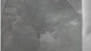 Ciprian Șerban, during the flagrante delicto to which he was a complaining witness. Screenshot from the video used as evidence in the case
