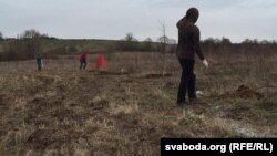 Падрыхтоўка тэрыторыі будучай дубровы