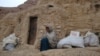 No Refuge From Misery For Afghan Displaced