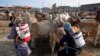 Health workers spray disinfectant on sacrificial animals amid concerns over the spread of the coronavirus ahead of the Muslim festival of Eid al-Adha in Hyderabad.