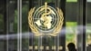Far-Flung Cases Heighten World Flu Battle