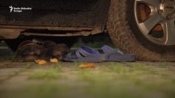 Život u automobilima nakon zemljotresa