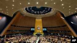 Проти української резолюції проголосували 17 країн, у тому числі Росія