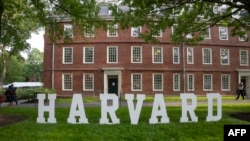 Arxiv fotosu