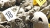 Posmrtni ostaci pronađeni u masovnoj grobnici u selu Budak kod Srebrenice 