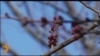 16x9 Image