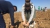 It's estimated that around 1 million people are forced into Uzbek fields each year to pick cotton.