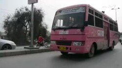 مردان کې ښځو لپاره ځانګړي بسونه درول شوي